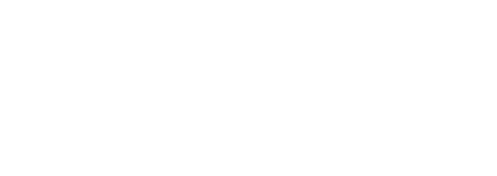 Zorpidis_Logo